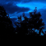 نورا الشمري